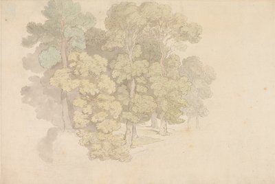 A Group of Trees by Thomas Rowlandson